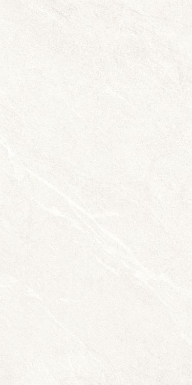Dhara White Matte 24 x 48